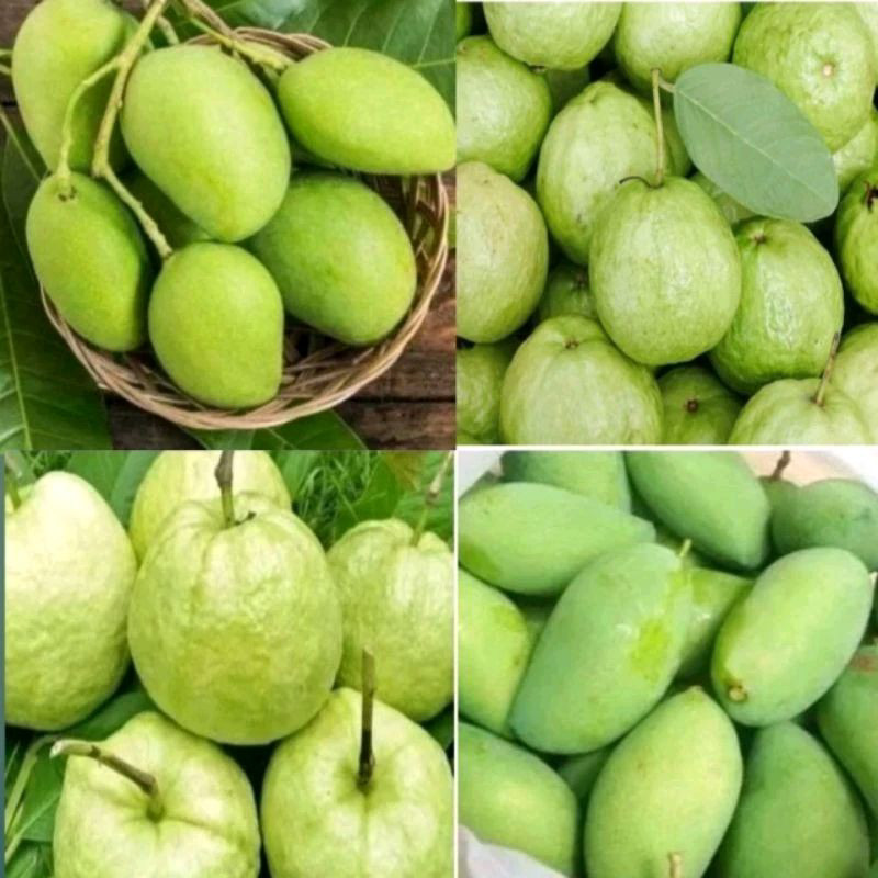 Jual Mangga Muda Rujak Jambu Kristal 1kg Shopee Indonesia