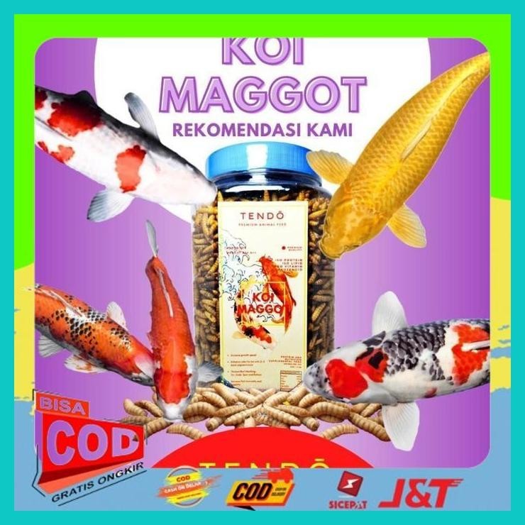 Jual MAGGOT KERING PAKAN MAKANAN IKAN ARWANA KOI CHANNA CANA SUPER RED ...