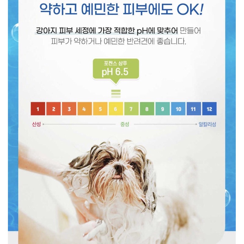 Jual Forbis White Curly Shampoo & Conditioner Anjing Bichon Whitening Dog 550Ml Shopee Indonesia
