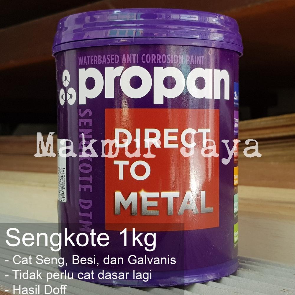 Jual Baru Propan Sengkote Dtm Cat Seng Galvanis Besi Sk Anti Karat