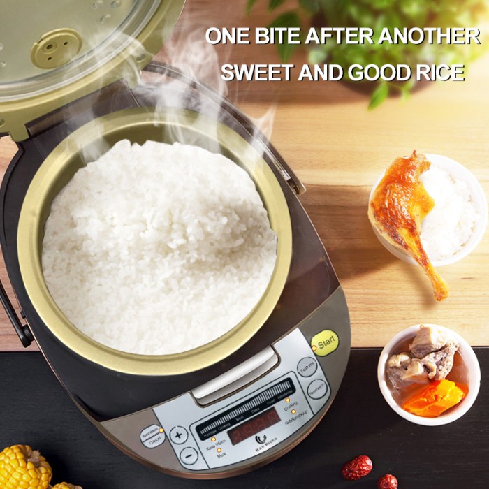 Jual tri HAN RIVER HRRC01GD Rice Cooker Smart touch screen Penanak nasi ...