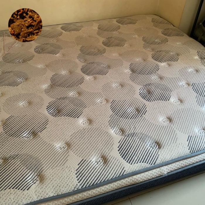 Jual Kasur Spring Bed INTHEBOX X (Plush Top) 180x200 (King Size