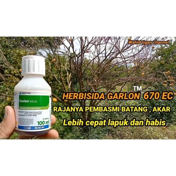 Jual Special Racun Pohon Kayu Racun Bambu Garlon 670 Ec 100 Ml