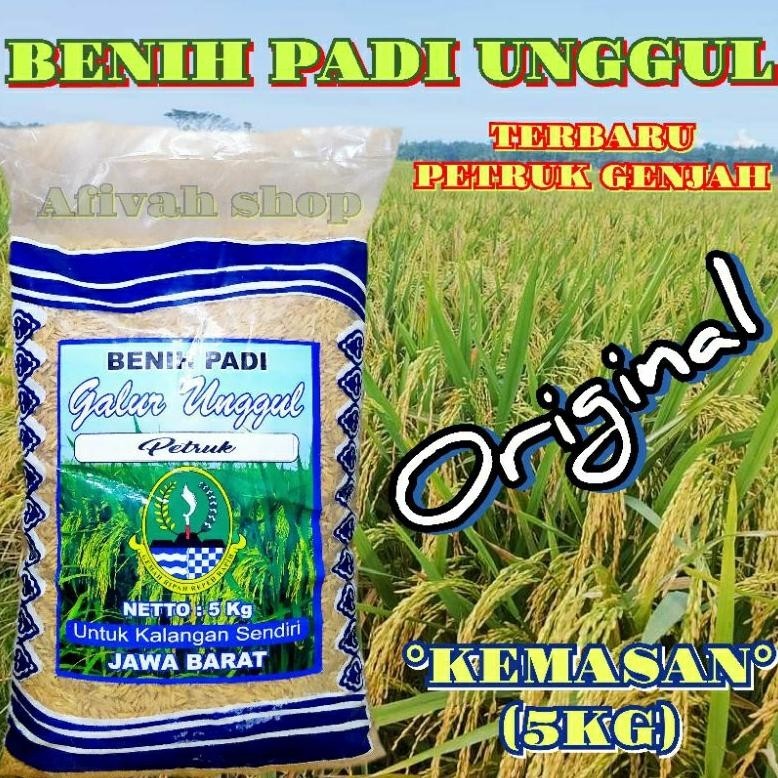 Jual Benih Padi Unggul Terbaru Genjah Petruk Kemasan Kg Ori Cod