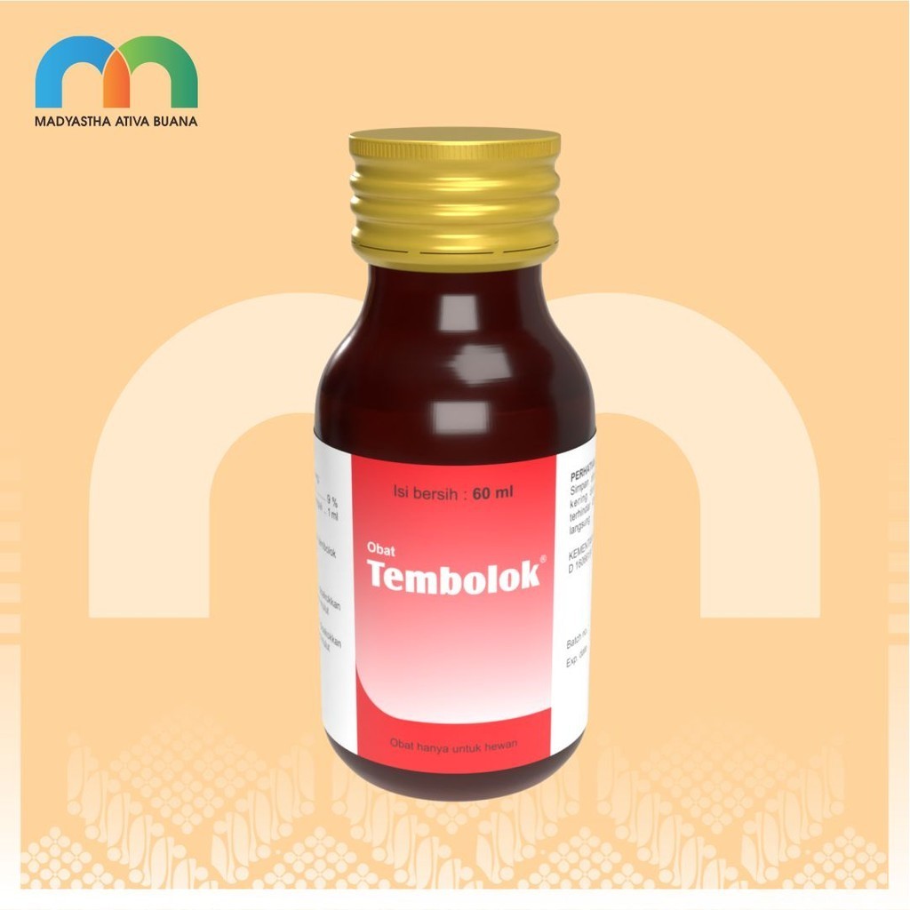 Jual Tembolok Terlengkap & Harga Terbaru Juli 2026 | Shopee Indonesia