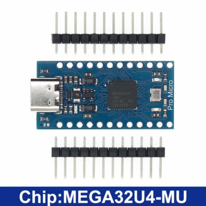 Jual ARDUINO PRO MICRO USB C ATMEGA 32U4 5v | Shopee Indonesia