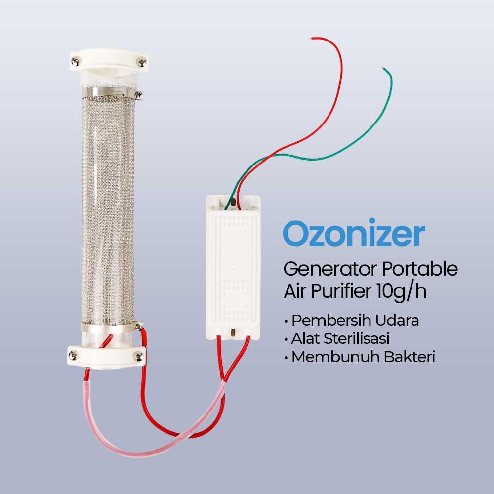 Jual Ozonizer DIY Ozone Generator Portable Air Purifier 10g/h | Shopee ...