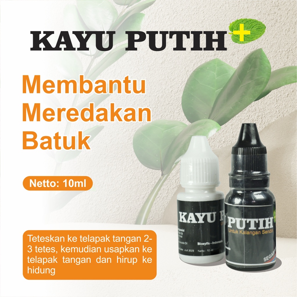 Jual MINYAK KAYU PUTIH PLUS Minyak Herbal Tetes Obat Gangguan ParuParu