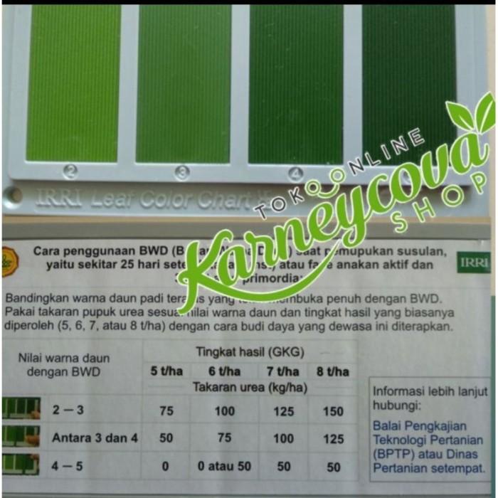 Jual Bagan Warna Daun Bwd Untuk Padi | Shopee Indonesia