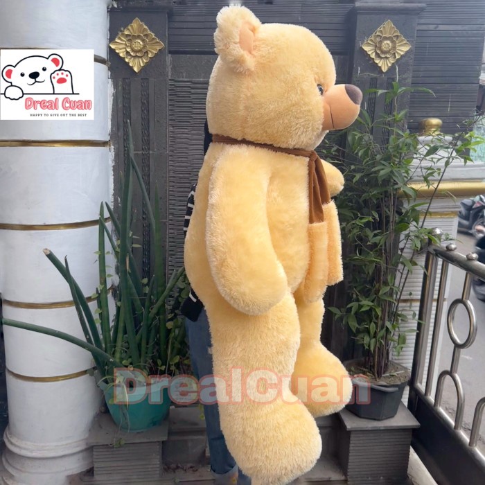 Ok google hot sale teddy bear