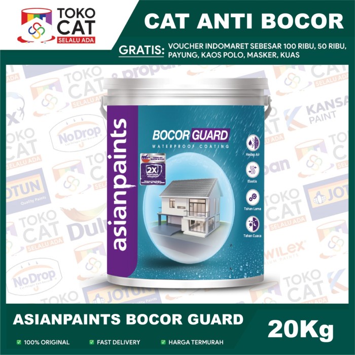 Ilustrasi Memilih Cat Pelapis Anti-Bocor untuk Dinding Luar - Mengungkap Masalah: Kenapa Dinding Luar