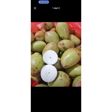 Jual Buah Wani Manis Asli Bali/ Mangga Putih Manis | Shopee Indonesia