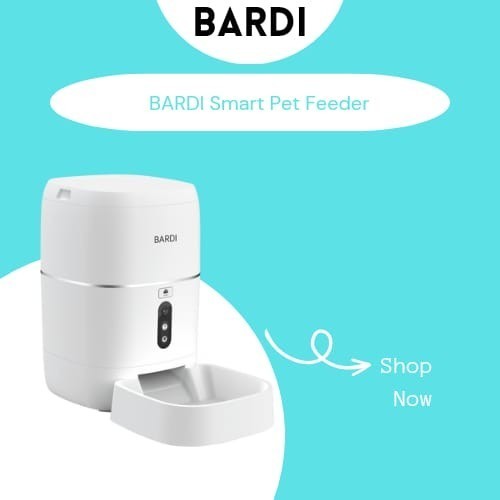 Jual Bardi Pet Feeder Dog Cat Wifi For Iot Home Automation Tuya