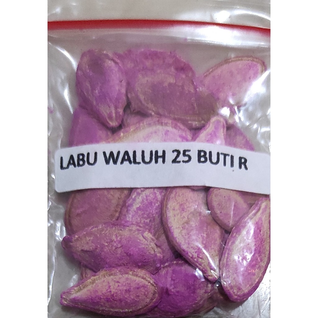 Jual 25 BUTIR BIJI BENIH TANAMAN labu waluh samina f1 (kemasan repack ...