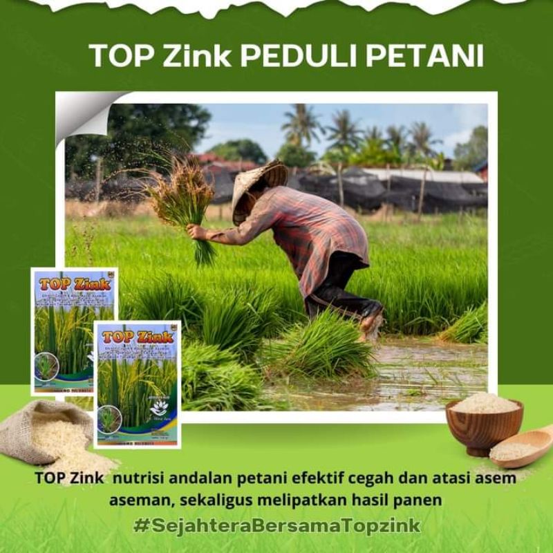Jual PUPUK TOP ZINK MEMPERBANYAK ANAKAN PADI , MENCEGAH & MENGATASI ...