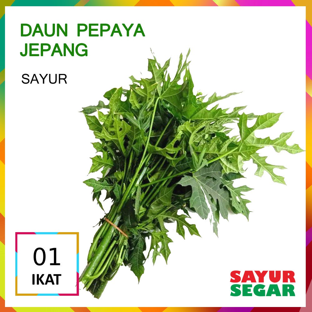 Jual Daun Pepaya Jepang Sayur 1 Ikat Shopee Indonesia 9343