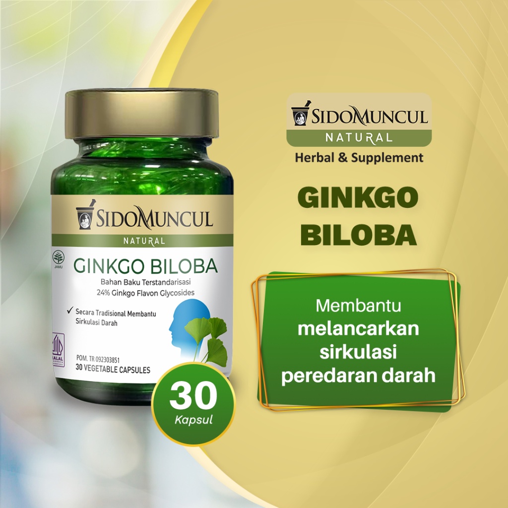 Jual Sido Muncul Natural Ginkgo Biloba 30 Kapsul - Daya Ingat ...