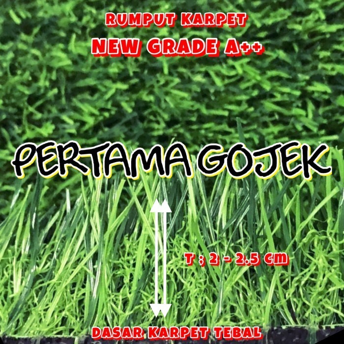 Jual Rumput Karpet/Rumput Futsal/Rumput Artificial/Rumput Swiss/Rumput ...