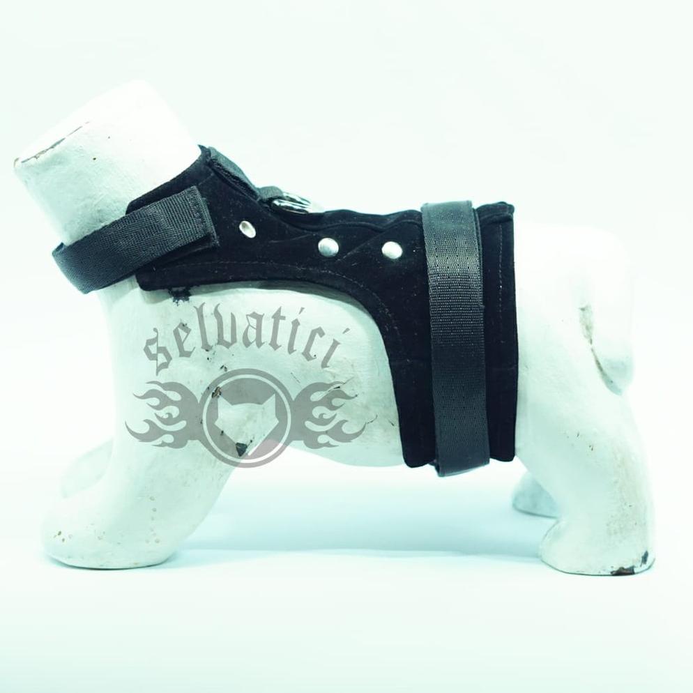 Jual Tali Tuntun Dan Rompi Harness Kucing Musang Bisa Custom Nama Dan No Hp Anti Kucing Hilang