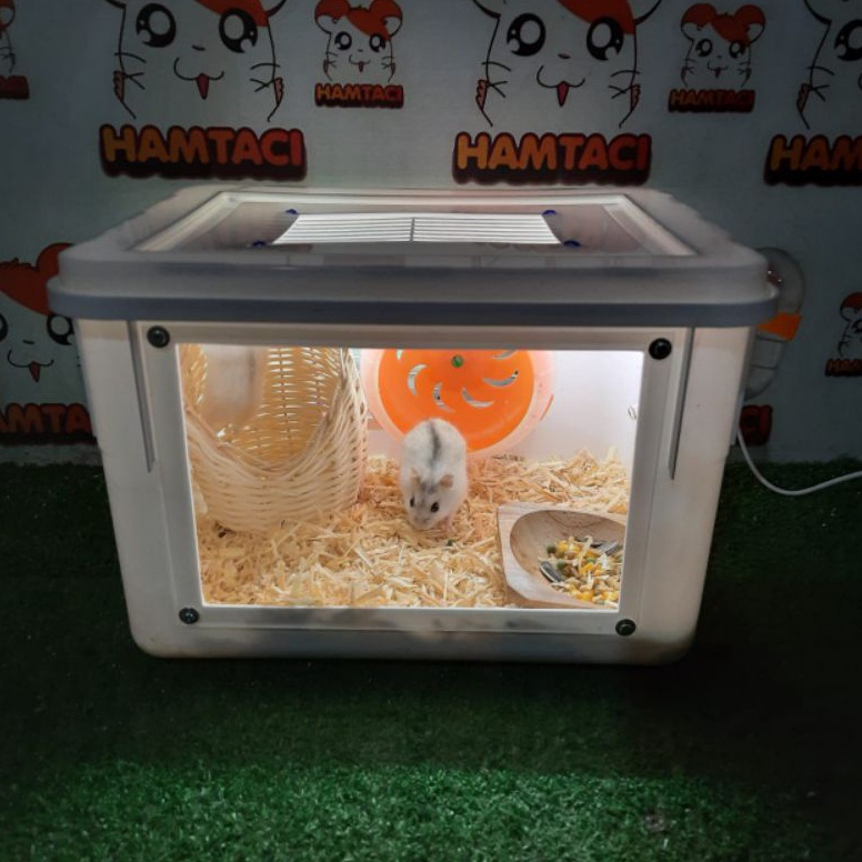 Curated visual reference: Gallery Detail: Jual Promosi Menarik Kandang Hamster Led Usb Hamster Reptile Gerbil