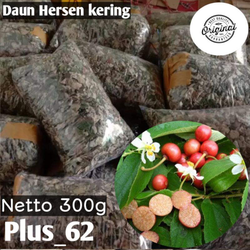Jual Teh daun Hersen herbs organik daun kersen kering 300g | Shopee ...