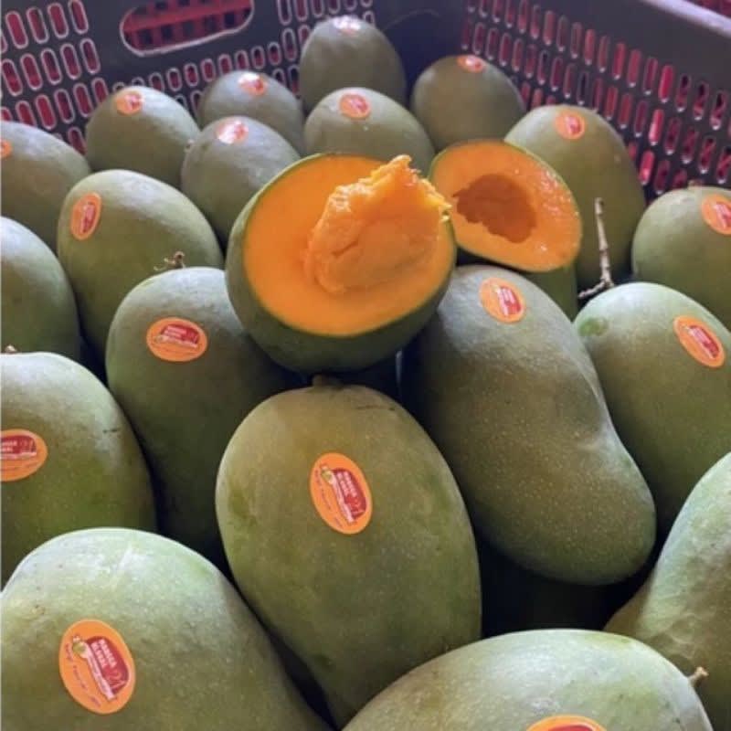 Jual Buah mangga alpukat | Shopee Indonesia