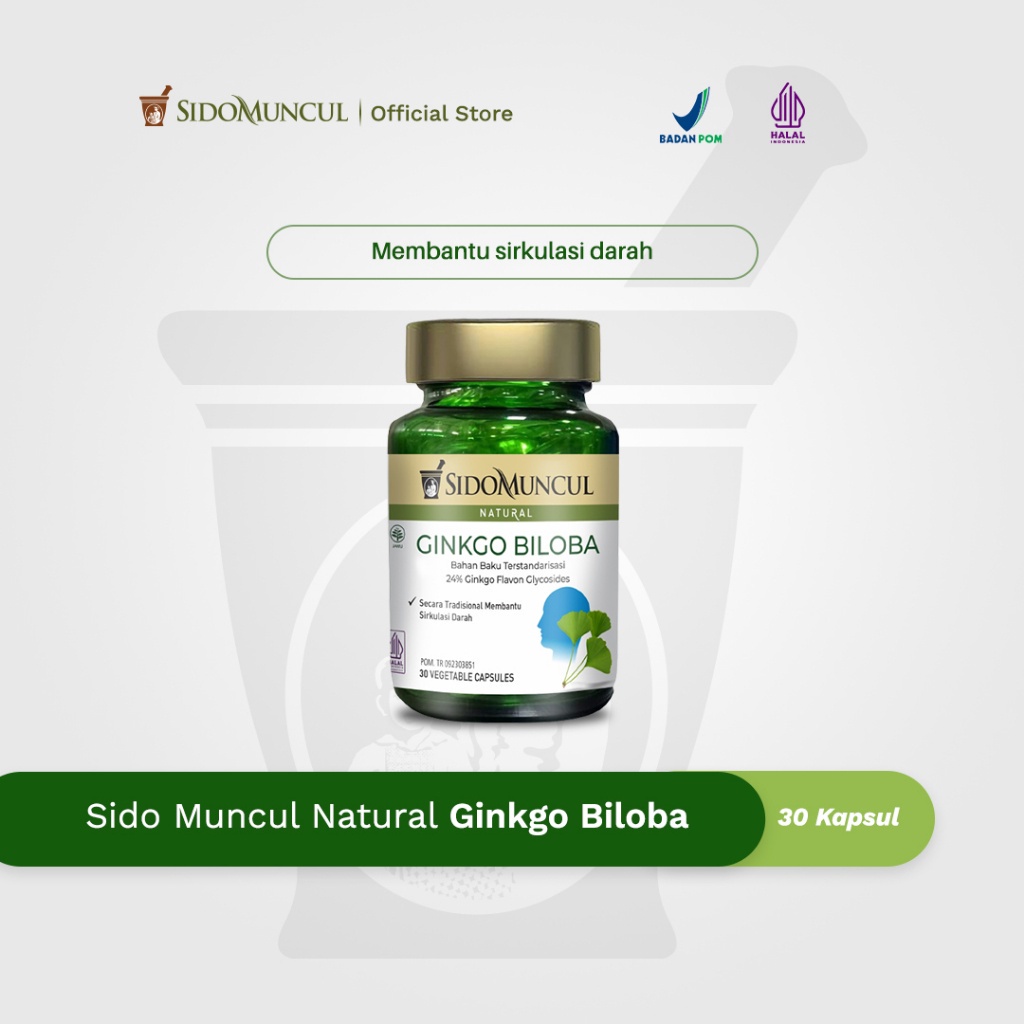 Jual Sido Muncul Natural Herbal Ginkgo Biloba 30 Kapsul - Daya Ingat ...