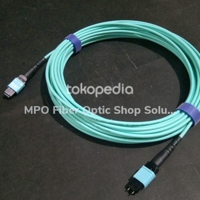 Jual Mpo To Mpo 12 Core Om4 Sr Multimode Male To Male Type B | Shopee ...