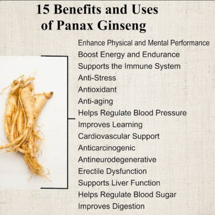 Jual Panax Ginseng Root Tea Teh Akar Ginseng For Tea And Tisane ...