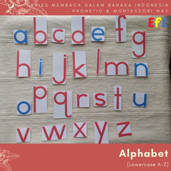 Jual FLASH SALE!!! MONTESSORI PICTURE CARDS WITH NAME TAGS ( PINK ...