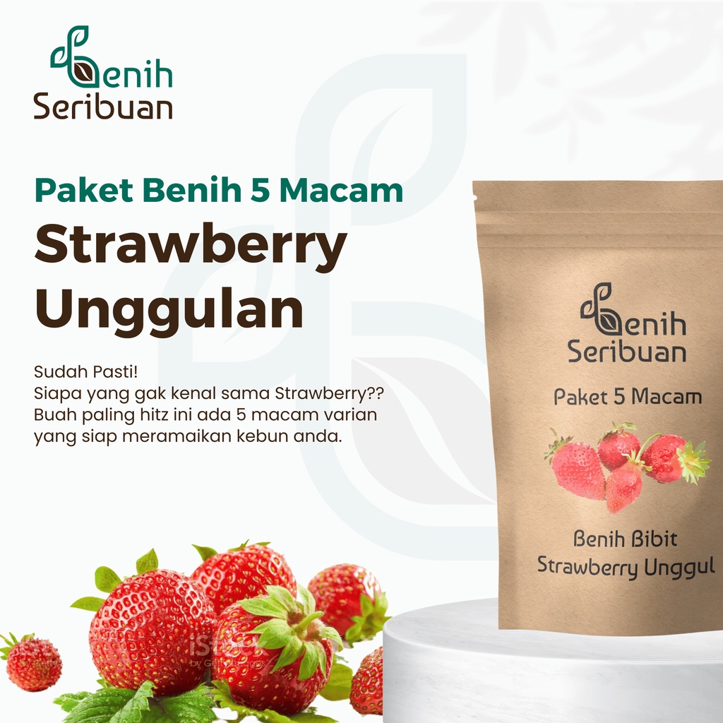 Jual Benih Seribuan - Paket 5 Macam Bibit Strawberry Buah Stroberi ...