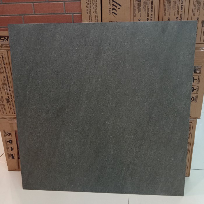 Jual GRANIT CARPOT DAN GARASI 60X60 AQUANI DARK GREY OASIS DOF TEKSTUR ...