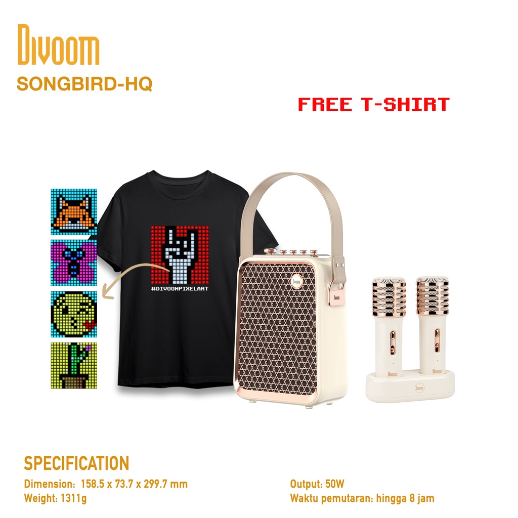 Jual Divoom SongBird-HQ 50W Dual Mic Karaoke & Bluetooth Speaker ...