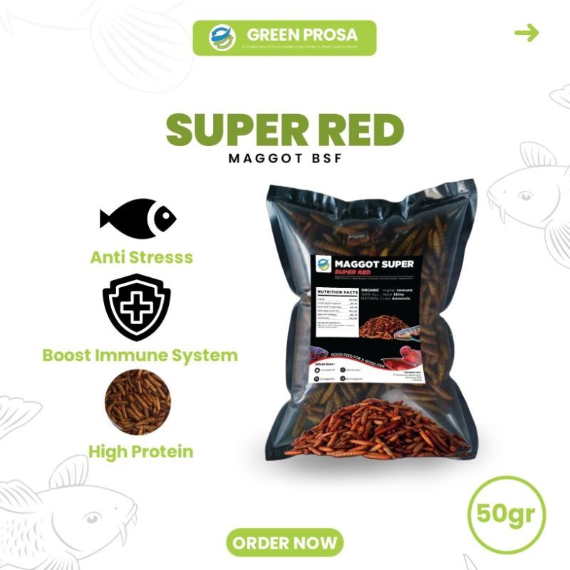 Jual GREEN PROSA - Super Red Maggot Kering 50gram | Shopee Indonesia