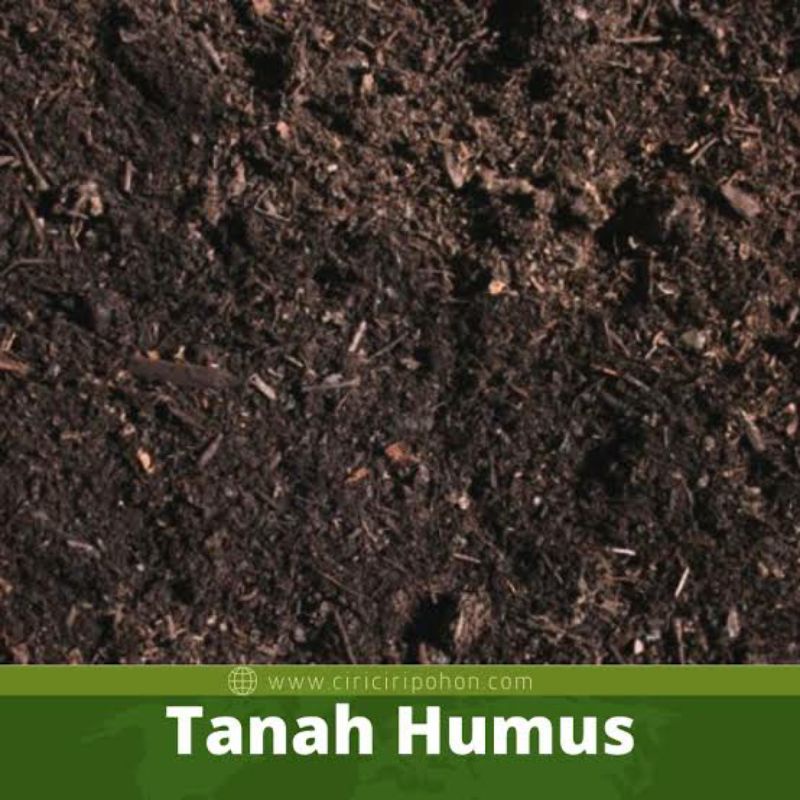 Jual Media Tanam Tanah Humus Murni subur 1KG Siap Pakai | Shopee Indonesia