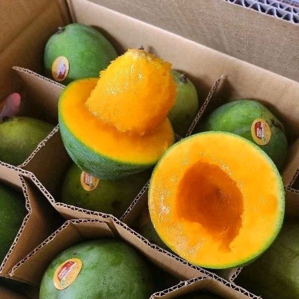 Jual Promo Mangga Masak Pohon Mangga Harum Manis Mangga Alpukat Perbox Isi 5kg Shopee Indonesia 