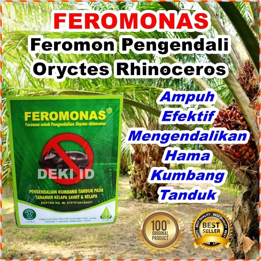 Jual SPESIAL Feromonas Feromon Pengendali Hama Kumbang Tanduk Kelapa ...