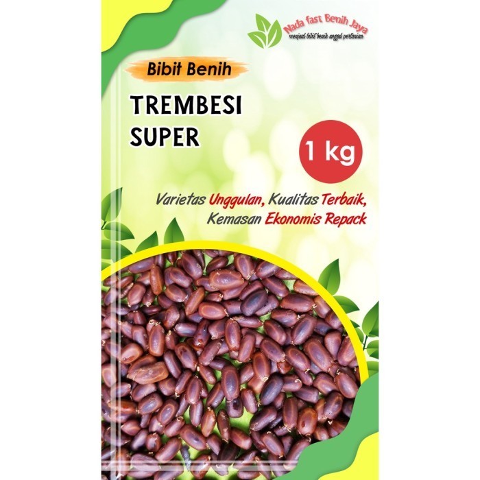 Jual Benih biji pohon trembesi 1 Kg / bibit benih tanaman trembesi ...