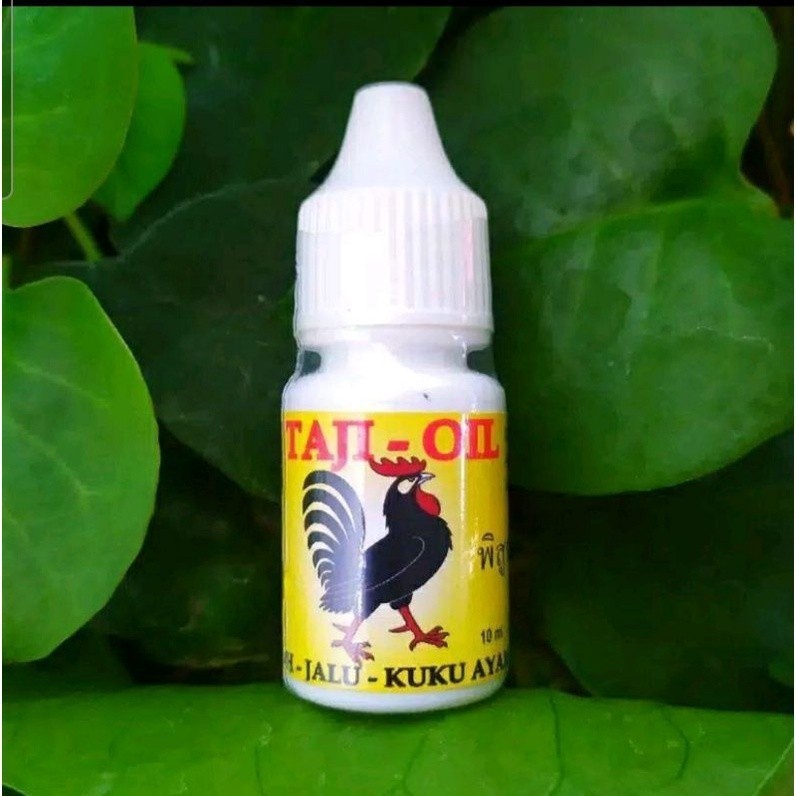 Jual TAJI OIL PENGERAS TAJI JALU PARUH PATOK AYAM TARUNG KUAT CEPAT TUA ...