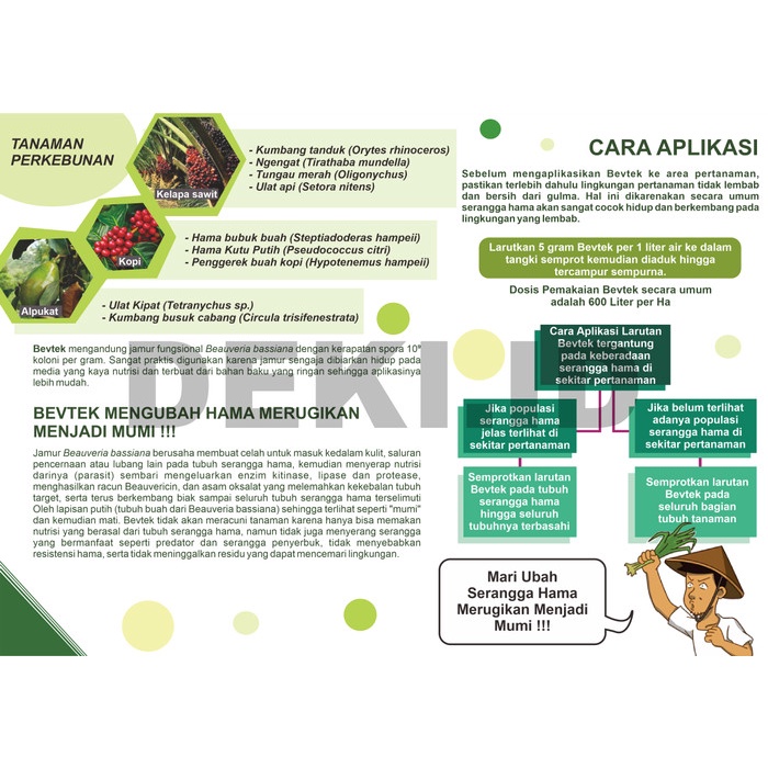 Jual Bestseller Bevtek Wp 500 Gr Beauveria Bassiana Insektisida Organik ...