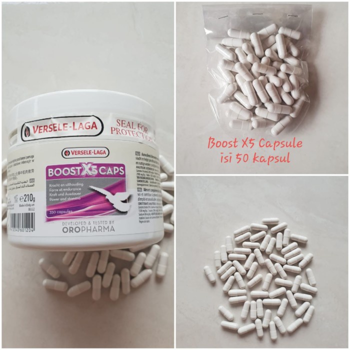 Jual BOOST X5 CAPS ISI 50 KAPSUL (ECERAN) | Shopee Indonesia