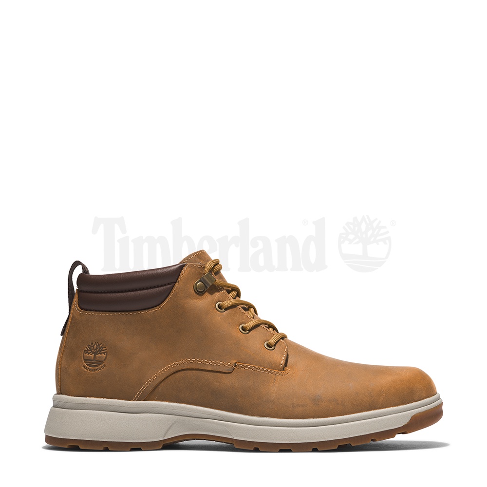 Jual timberland clearance