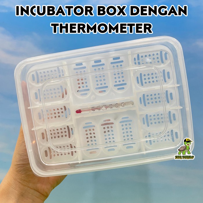 Jual Box Incubator Telur Reptil Iguanna Leopard Gecko Chameleon Salva