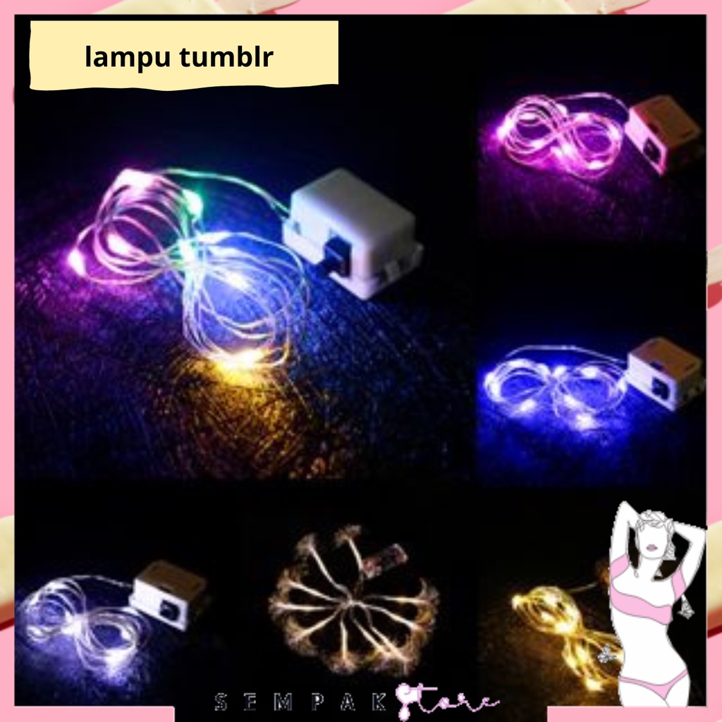 SS Lampu Tumblr Kawat Mini 1 2 3 5 Meter Lampu Hias Dekorasi Gift Box Bucket Bunga Balon Fairy Light Led Murah