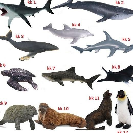 Jual Miniatur Paus Bungkuk Humpback Whale 8 Cm D Maket Diorama Hewan ...