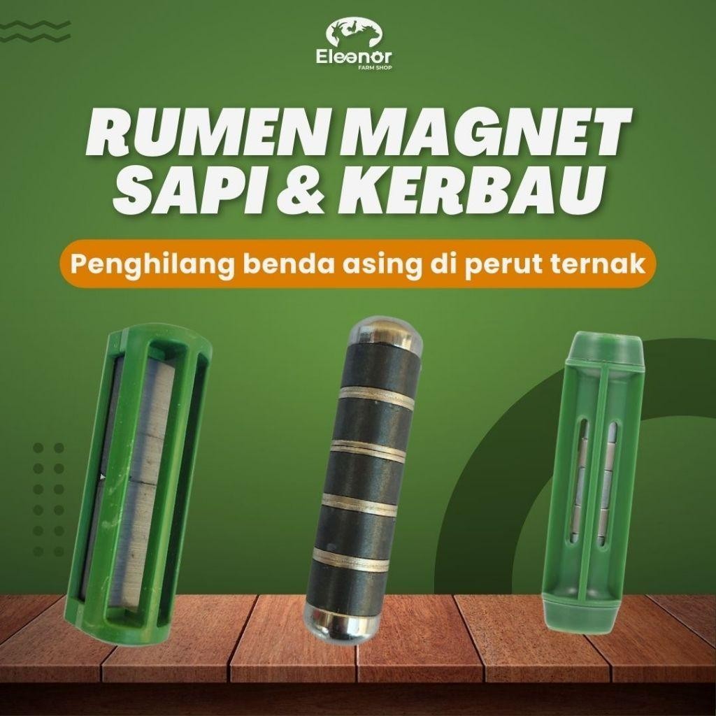 Jual Rumen Magnet Sapi Kerbau Gajah Jerapah Penghilang Benda Asing ...
