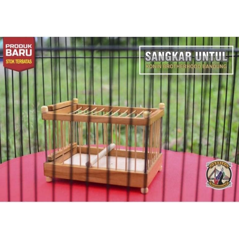 Jual Jual Kandang Untul Burung Konin Sogon Pleci Betina Bahan Kayu