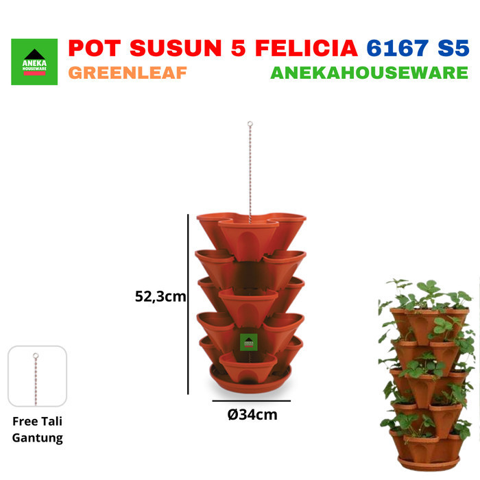 Jual Anekahouseware Pot Bunga Tanaman Felicia Stack 6167 S5 Green Leaf ...