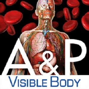 Jual Visible body visible body Anatomy Physiologi Vb Human Anatomy VB ...