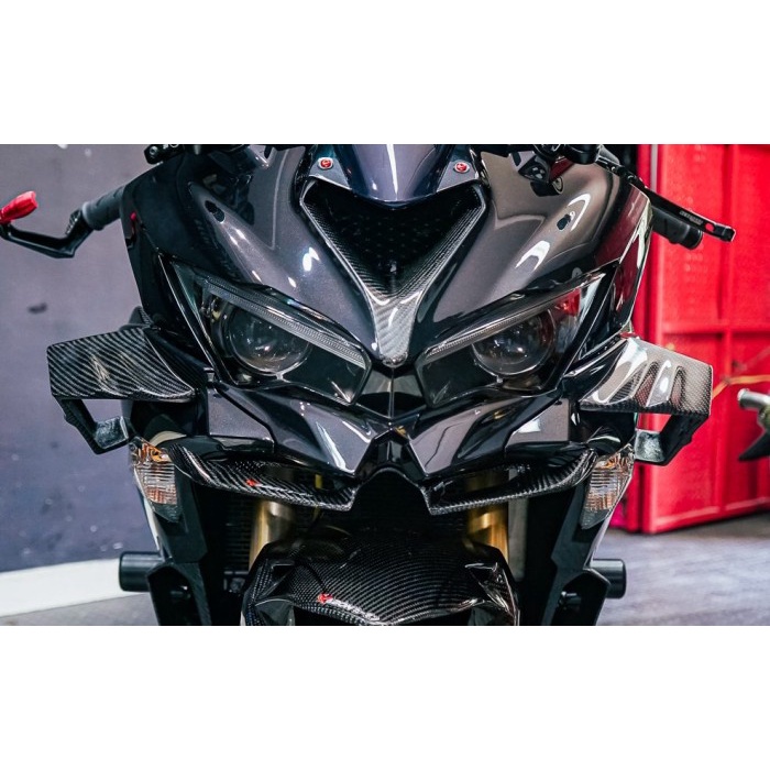 Jual Side Winglet Carbon Kawasaki Zx25R Model Bmw | Shopee Indonesia